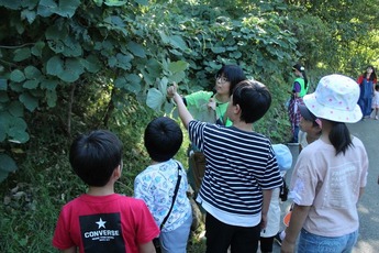 画像：大森山自然塾の様子