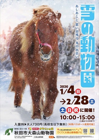 雪の動物園ポスター