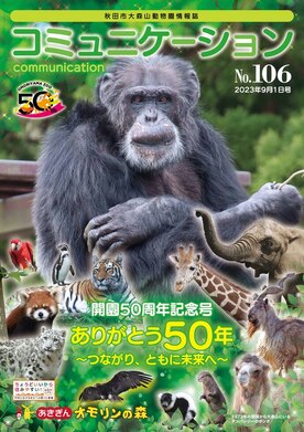 コミュニケーション106号表紙