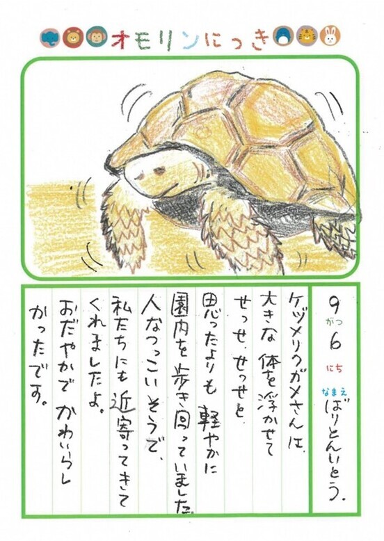 バリトンさんの9月のにっき（ケヅメリクガメ）