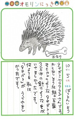 画像：10月のにっき（タテガミヤマアラシ）