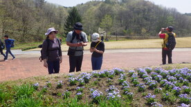 活動の様子：花公園