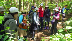 活動の様子：登山道3