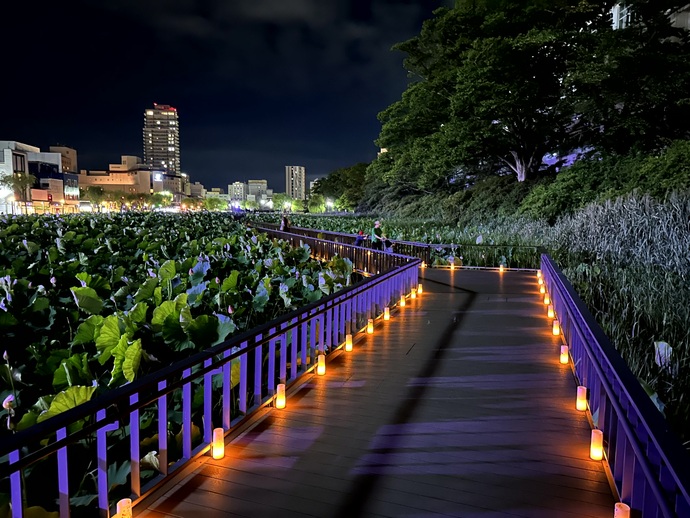 千秋公園大手門の堀遊歩道