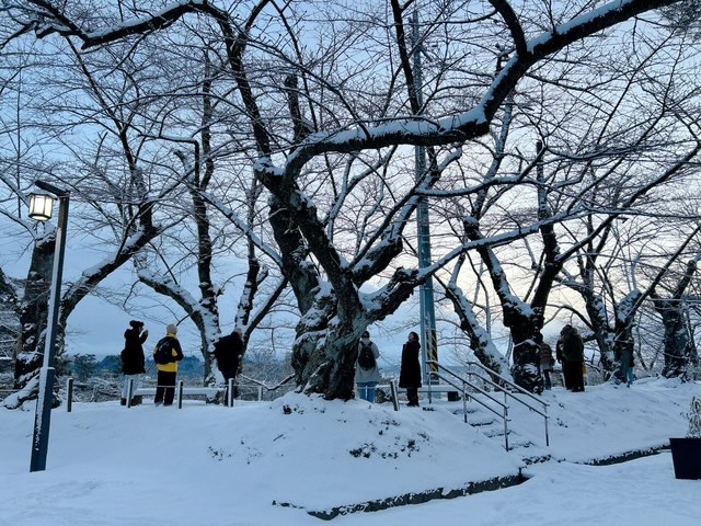千秋公園（まいごごっこまちあるき「朝日をみる朝活-千秋公園編-」）