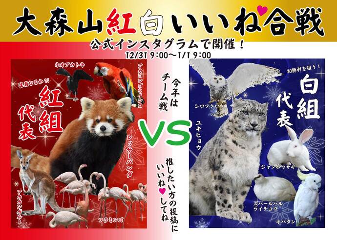 画像：いいね合戦