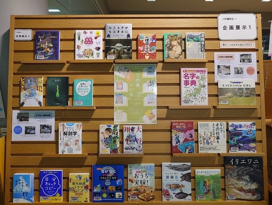 企画展示1コーナーの写真