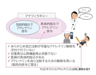 実証事業の処置