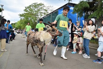 動物パレード