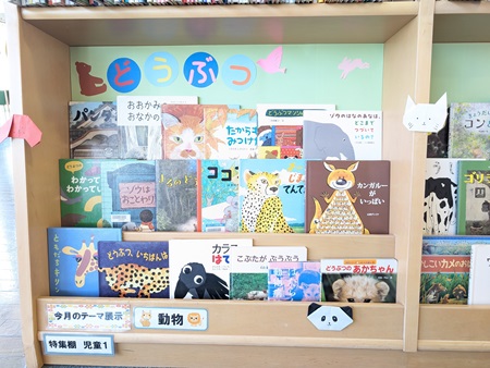 特集棚(児童)1