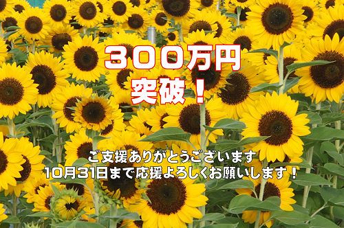 支援額300万円突破