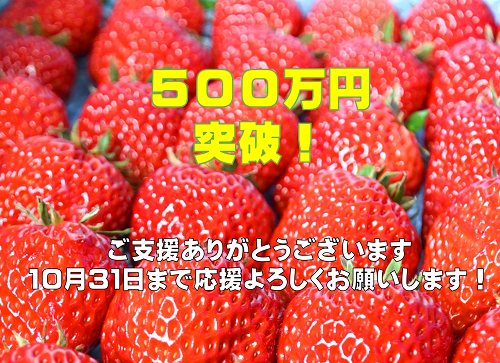 500万円突破しました