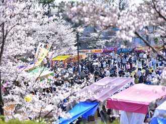 桜と祭りの写真