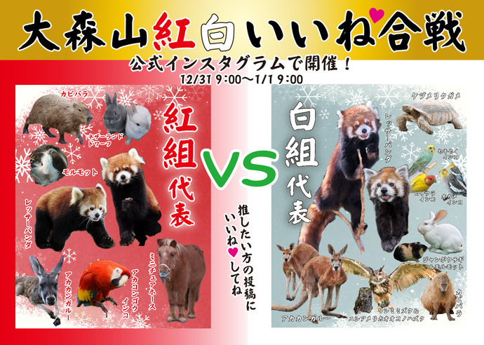 画像：いいね合戦