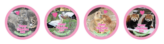 画像：バレンタインシール