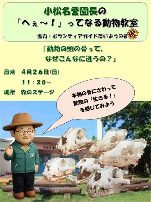 画像：イベントチラシ