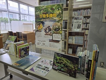 企画展示3コーナーの写真