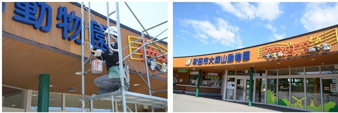画像：ビジターセンター壁面