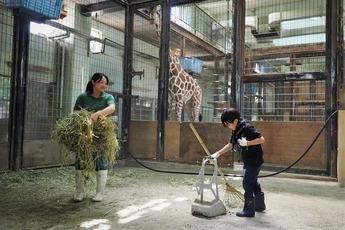 画像：サマースクール