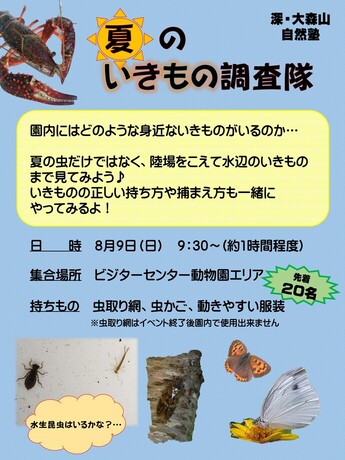 画像:ポスター