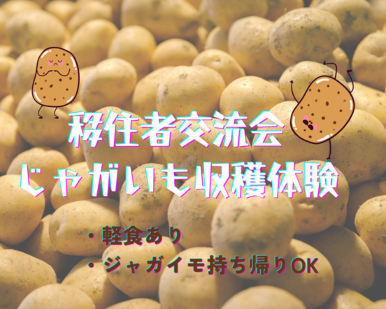 イメージ画像