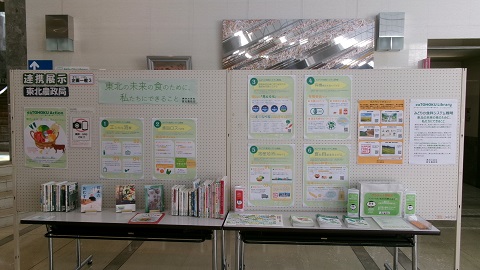 展示風景