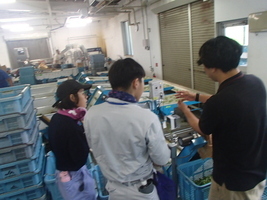 写真：JA秋田なまはげ枝豆共選場の視察