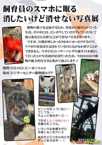 画像:写真展ポスター