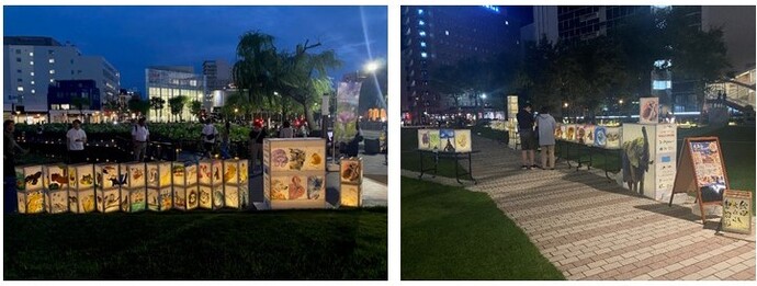 作品展示