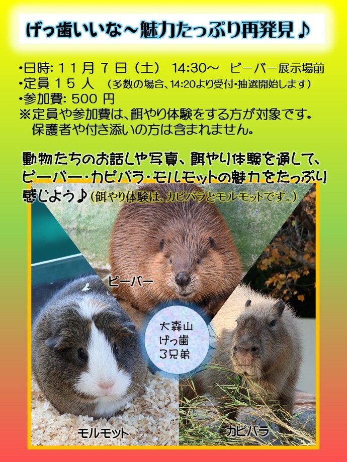画像：イベントポスター