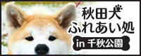 秋田犬ふれあい処in千秋公園（外部リンク・新しいウインドウで開きます）